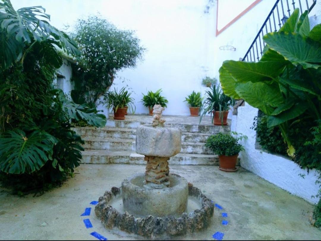 Casa Rural Del Rio Alozaina Exterior foto
